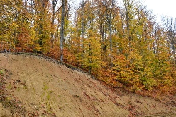 Autumn Color Saint Ana Rohia Monastery Typical Rural Landscape Forests — Stock Photo, Image