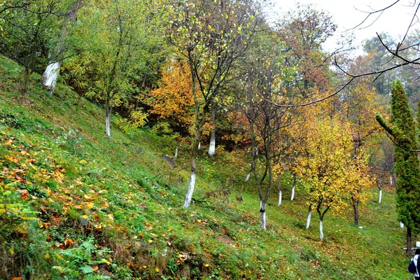 Kolor Jesieni Klasztorze Saint Ana Rohia Wiejski Krajobraz Lasy Regionie — Zdjęcie stockowe