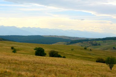 Romanya 'nın Transilvanya ovalarındaki tipik kırsal alan. Yazın ortasında, güneşli bir günde yeşil bir manzara.