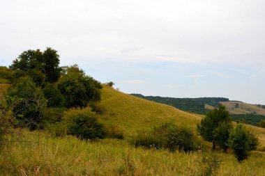 Romanya 'nın Transilvanya ovalarındaki tipik kırsal alan. Yazın ortasında, güneşli bir günde yeşil bir manzara.