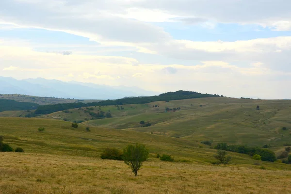 Paisagem Rural Típica Nas Planícies Transilvânia Roménia Paisagem Verde Meio — Fotografia de Stock