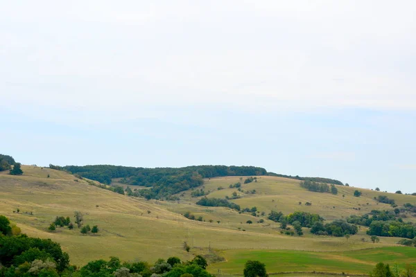 Типичный Сельский Пейзаж Равнинах Трансильвании Румыния Зеленый Пейзаж Середине Лета — стоковое фото