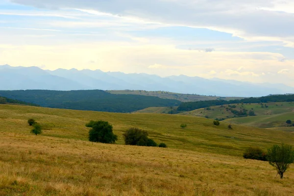 Paisagem Rural Típica Nas Planícies Transilvânia Roménia Paisagem Verde Meio — Fotografia de Stock