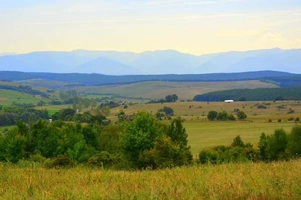 Typical Rural Landscape Plains Transylvania Romania Green Landscape Midsummer Sunny — Stock Photo, Image
