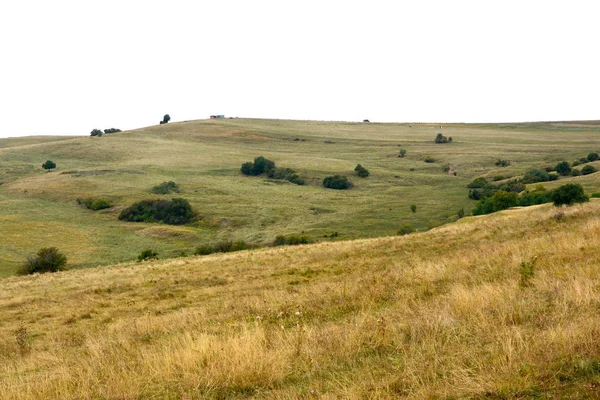 Tipico Paesaggio Rurale Nelle Pianure Della Transilvania Romania Paesaggio Verde — Foto Stock