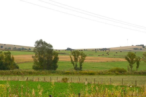 Typische Ländliche Landschaft Den Ebenen Siebenbürgens Rumänien Grüne Landschaft Hochsommer — Stockfoto