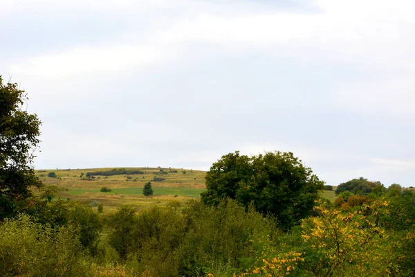 トランシルヴァニア ルーマニアの平野で典型的な農村風景 真夏の緑の風景 晴れた日に — ストック写真