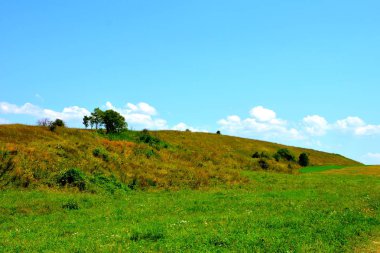 Ovalar ve ormanlar Transilvanya, Romanya'nın tipik kırsal manzara. Yaz ortasında güneşli bir gün içinde yeşil manzara