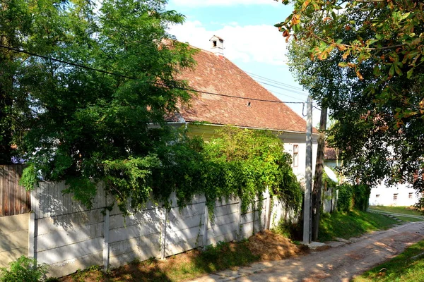 Paisagem Rural Típica Casas Camponeses Aldeia Ticuu Vechi Deutsch Tekes — Fotografia de Stock