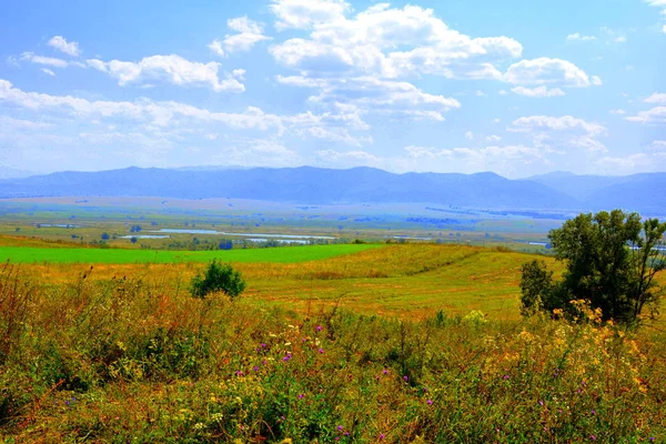 Типовий Сільської Місцевості Рівнинах Ліси Трансільванії Румунія Зелений Краєвид Середині — стокове фото