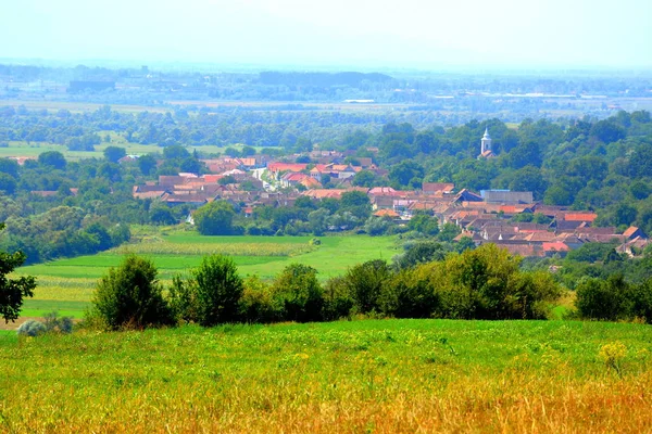 Типичный Сельский Пейзаж Равнинах Лесах Трансильвании Румыния Зеленый Пейзаж Середине — стоковое фото