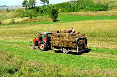 Ovalar ve ormanlar Transilvanya, Romanya'nın tipik kırsal manzara. Yaz ortasında güneşli bir gün içinde yeşil manzara