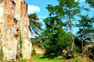 Ovalar ve ormanlar Transilvanya, Romanya'nın tipik kırsal manzara. Yaz ortasında güneşli bir gün içinde yeşil manzara