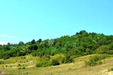 Ovalar ve ormanlar Transilvanya, Romanya'nın tipik kırsal manzara. Yaz ortasında güneşli bir gün içinde yeşil manzara