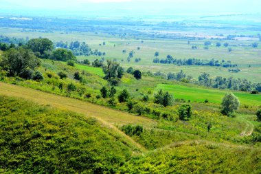 Tipik kırsal manzara Hills Transilvanya, Romanya. Yaz ortasında güneşli bir gün içinde yeşil manzara