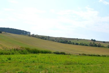 Tipik kırsal manzara Hills Transilvanya, Romanya. Yaz ortasında güneşli bir gün içinde yeşil manzara