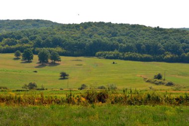 Tipik kırsal manzara Hills Transilvanya, Romanya. Yaz ortasında güneşli bir gün içinde yeşil manzara