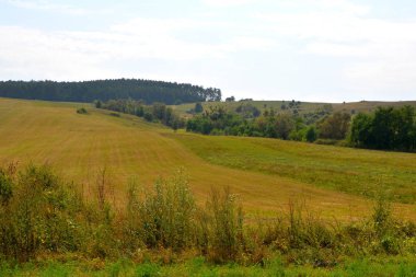Tipik kırsal manzara Hills Transilvanya, Romanya. Yaz ortasında güneşli bir gün içinde yeşil manzara