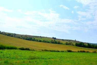 Tipik kırsal manzara Hills Transilvanya, Romanya. Yaz ortasında güneşli bir gün içinde yeşil manzara