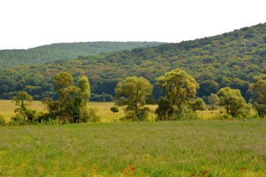 Tipik kırsal manzara Hills Transilvanya, Romanya. Yaz ortasında güneşli bir gün içinde yeşil manzara