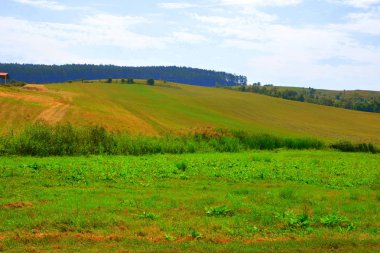 Tipik kırsal manzara Hills Transilvanya, Romanya. Yaz ortasında güneşli bir gün içinde yeşil manzara