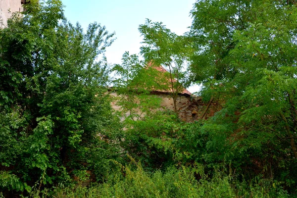 Typisch Landelijke Landschap Vlaktes Bossen Van Transsylvanië Roemenië Groene Landschap — Stockfoto