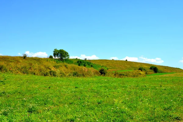 평원과 Transylvania 루마니아의 숲에서 전형적인 화창한 날에는 한여름에 풍경을 — 스톡 사진