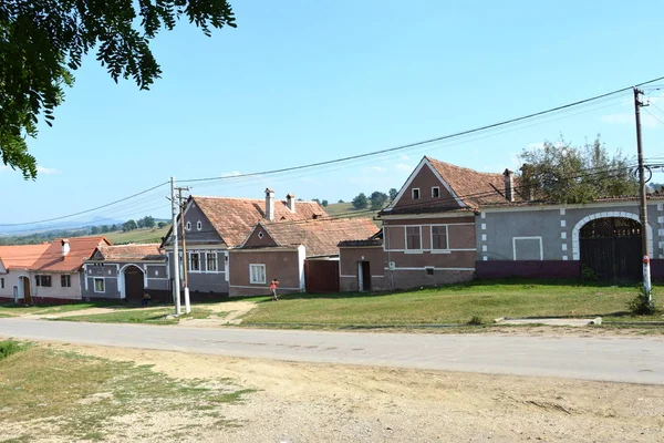 Paisaje Rural Típico Casas Campesinas Pueblo Ticuu Vechi Deutsch Tekes —  Fotos de Stock