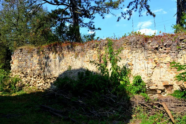 Ruinas Iglesia Evangélica Saxon Medieval Fortificada Pueblo Felmer Felmern Transilvania —  Fotos de Stock