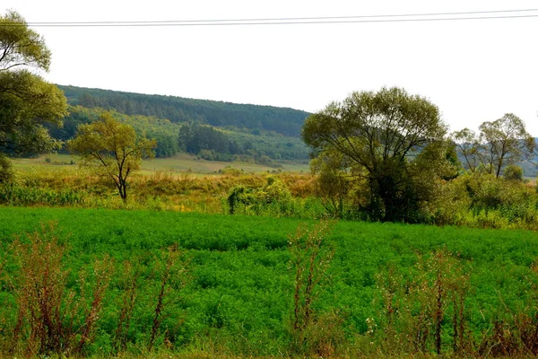 Tipik Kırsal Manzara Hills Transilvanya Romanya Yaz Ortasında Güneşli Bir — Stok fotoğraf