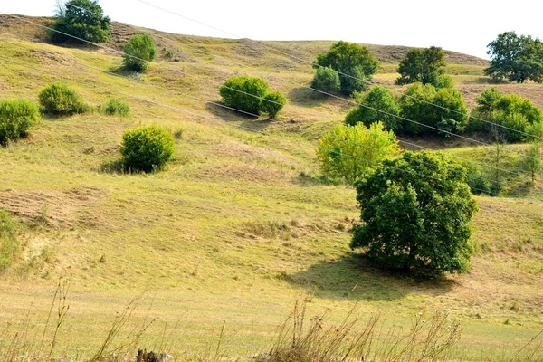 Типовий Сільської Місцевості Пагорби Трансільванії Румунія Зелений Краєвид Середині Літа — стокове фото