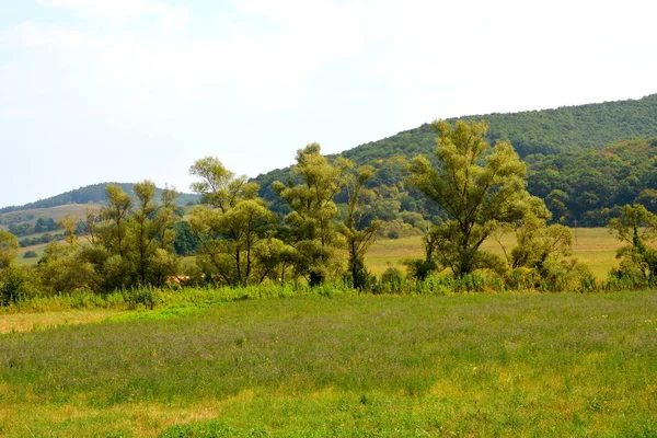 Типичный Сельский Пейзаж Горах Трансильвании Румыния Зеленый Пейзаж Середине Лета — стоковое фото