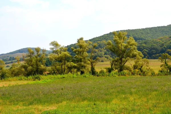 Tipik Kırsal Manzara Hills Transilvanya Romanya Yaz Ortasında Güneşli Bir — Stok fotoğraf