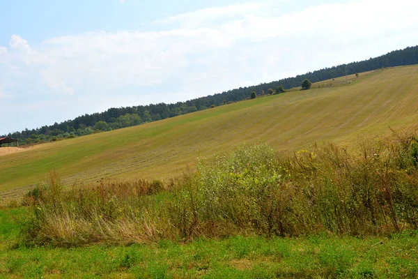 Typical Rural Landscape Hills Transylvania Romania Green Landscape Midsummer Sunny — Stock Photo, Image
