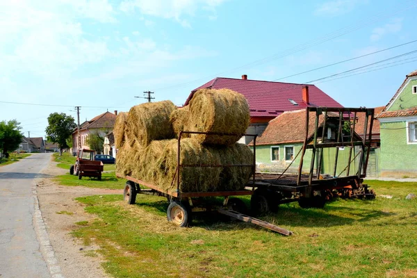 Tipico Paesaggio Rurale Case Contadine Nel Villaggio Mercheasa Transilvania Romania — Foto Stock