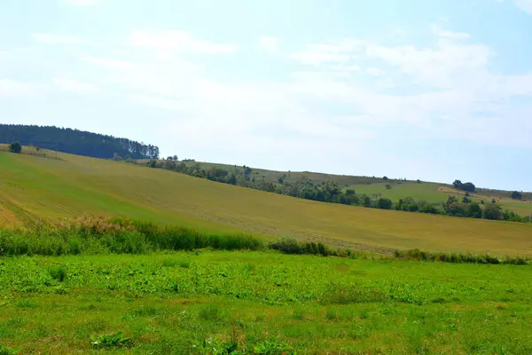 Tipik Kırsal Manzara Hills Transilvanya Romanya Yaz Ortasında Güneşli Bir — Stok fotoğraf