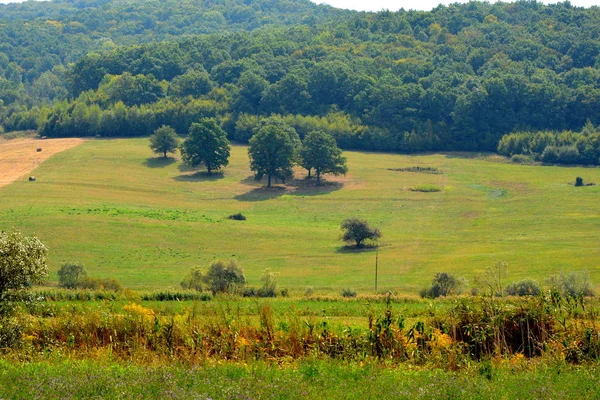 Typische Ländliche Landschaft Den Hügeln Von Transsilvanien Rumänien Grüne Landschaft — Stockfoto