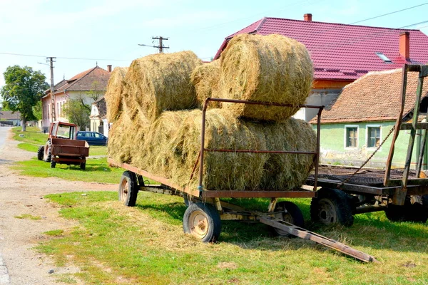 Типовий Сільських Краєвид Селянських Будинки Селі Mercheasa Трансільванії Румунія Поселення — стокове фото