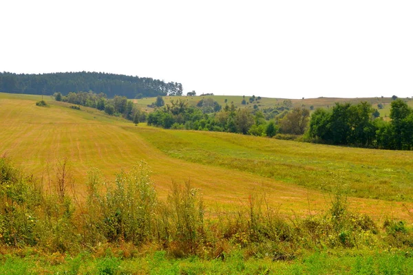 Paysage Rural Typique Dans Les Collines Transylvanie Roumanie Paysage Vert — Photo