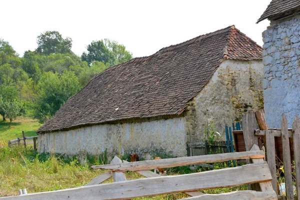Paisaje Rural Típico Casas Campesinas Pueblo Mercheasa Transilvania Rumania Asentamiento —  Fotos de Stock