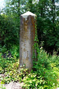 Mezarlık kilisenin müstahkem Ortaçağ Sakson evangelic köyünde Saesd, Transilvanya, Romanya. Yerleşim 12. yüzyılda ortasında Sakson kolonistler tarafından kuruldu