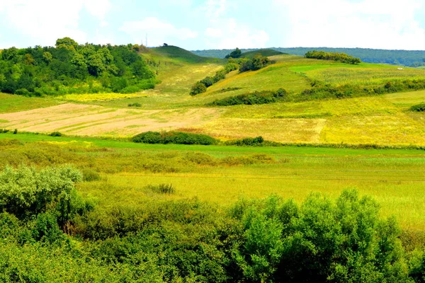 Paysage Rural Typique Dans Les Plaines Transylvanie Roumanie Dans Village — Photo