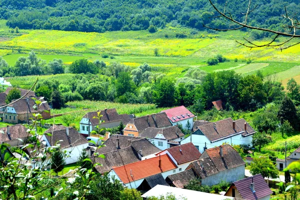 Typical Rural Landscape Peasant Houses Village Saesd Transylvania Romania Settlement — Stock Photo, Image