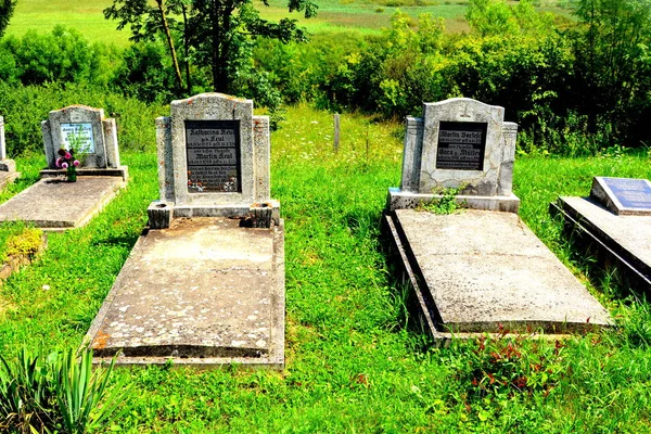 Friedhof Der Befestigten Mittelalterlichen Sächsischen Evangelischen Kirche Dorf Saesd Siebenbürgen — Stockfoto