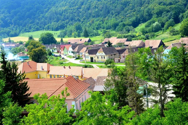 Paisaje Rural Típico Casas Campesinas Pueblo Apold Transilvania Rumania Asentamiento —  Fotos de Stock