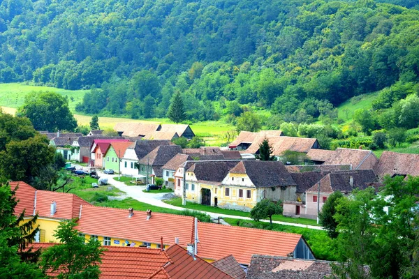 Paysage Rural Typique Maisons Campagne Dans Village Apold Transylvanie Roumanie — Photo