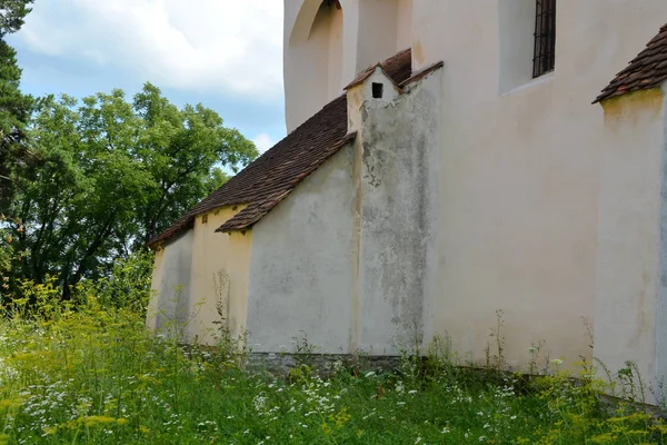 Befestigte Mittelalterliche Sächsische Evangelische Kirche Dorf Apold Siebenbürgen Rumänien Die — Stockfoto