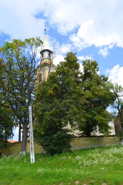 Müstahkem Ortaçağ Sakson Evangelic Kilisesi Köyün Saesd Transilvanya Romanya Yerleşim — Stok fotoğraf