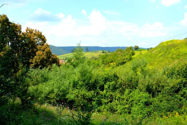 Typische Ländliche Landschaft Der Ebene Von Siebenbürgen Rumänien Dorf Apold — Stockfoto