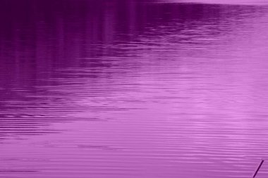 Göl Valiug Banat ve onun çevresindeki hava görünümünü. Tipik peyzaj Transilvanya, Romanya'nın ormanlarda. Yaz ortasında güneşli bir gün içinde yeşil manzara